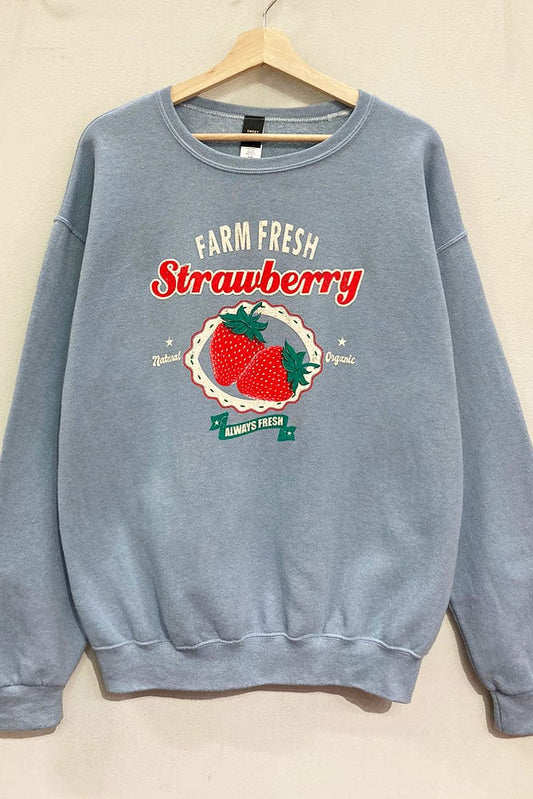 SWEET CLAIRE Sweater Dusty Blue / S/M Farm Fresh Strawberry Sweatshirt