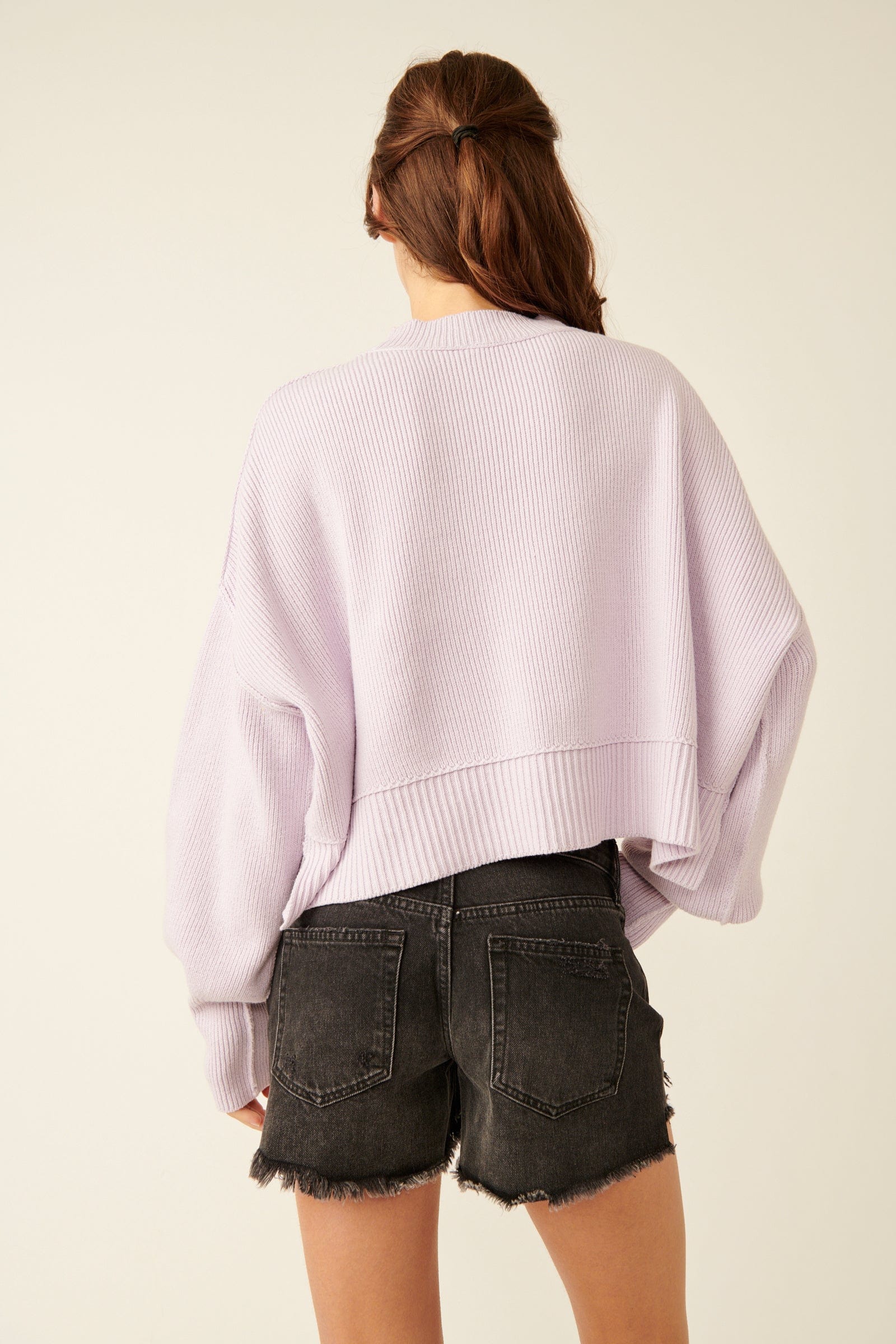 Sweater - FREE PEOPLE - Easy Street Crop Pullover - PLENTY