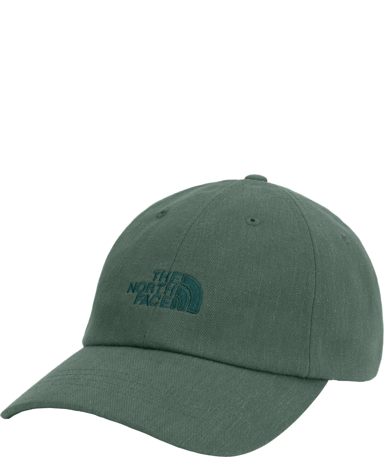 THE NORTH FACE HATS Duck Green Norm Hat