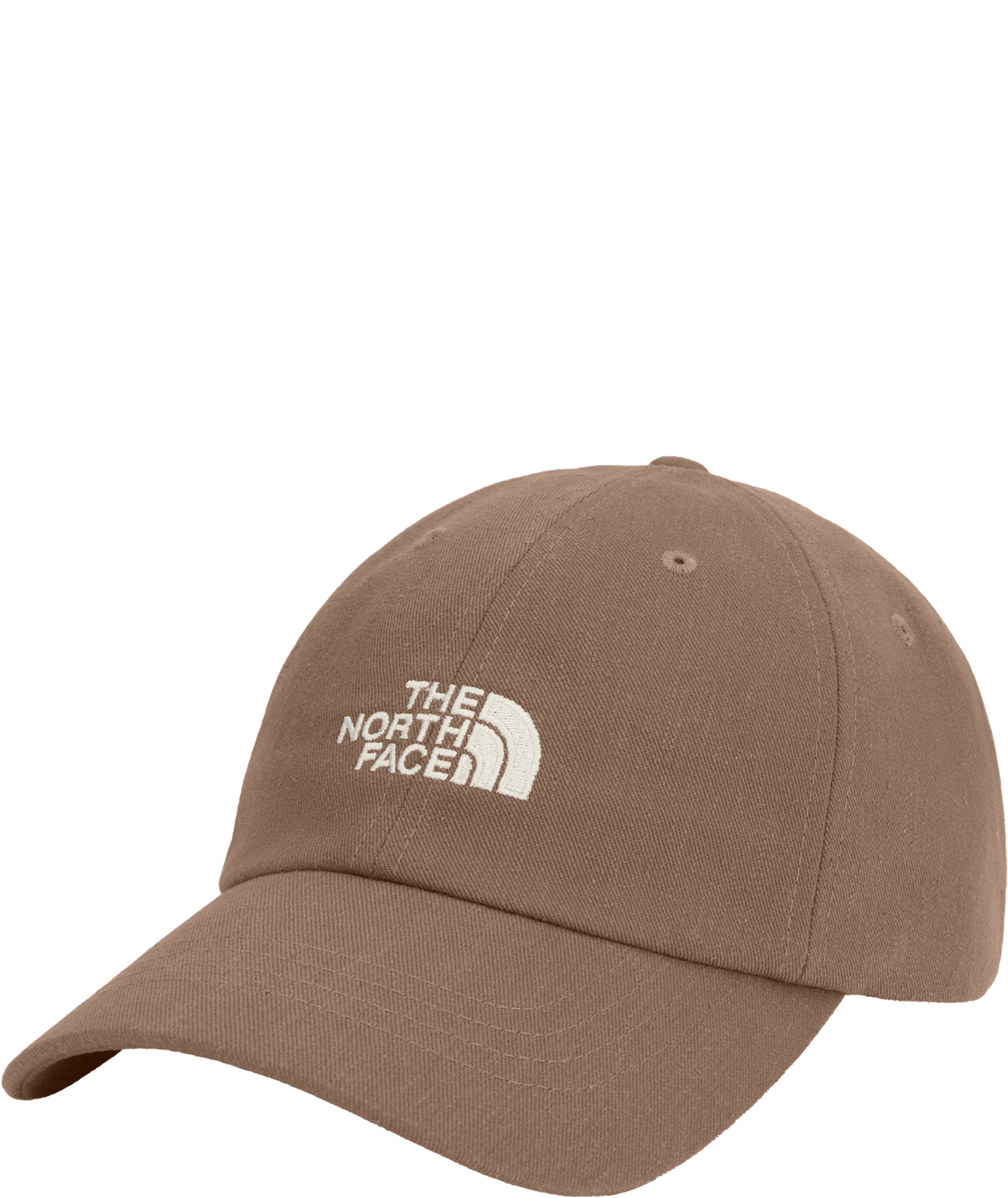 THE NORTH FACE HATS Latte Norm Hat