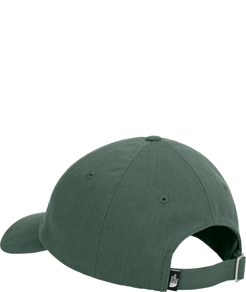 THE NORTH FACE HATS Norm Hat